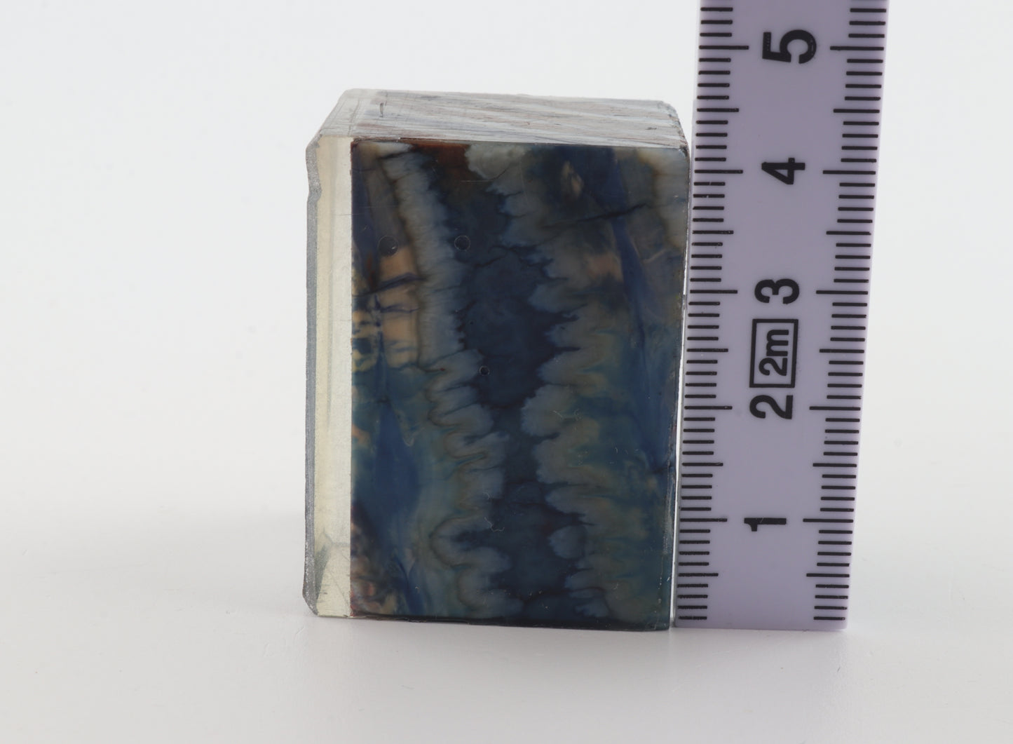 Stabilized mammoth molar piece