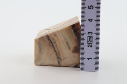 Stabilized mammoth ivory piece