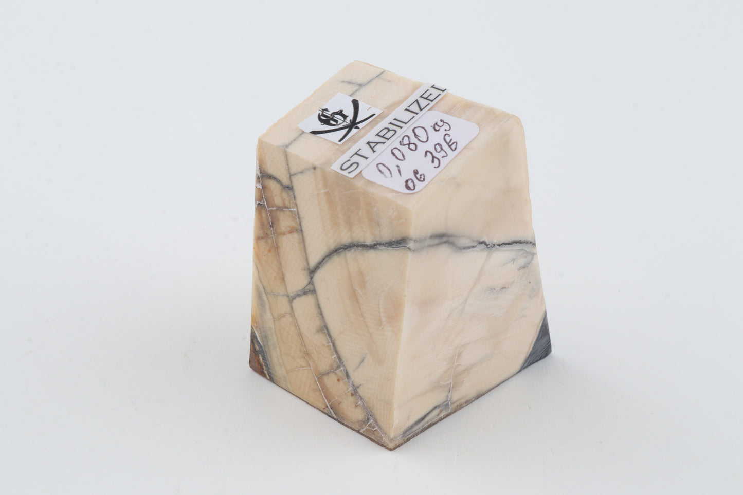 Stabilized mammoth ivory piece