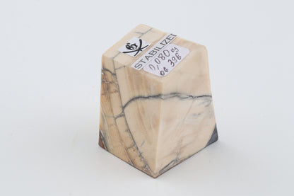 Stabilized mammoth ivory piece