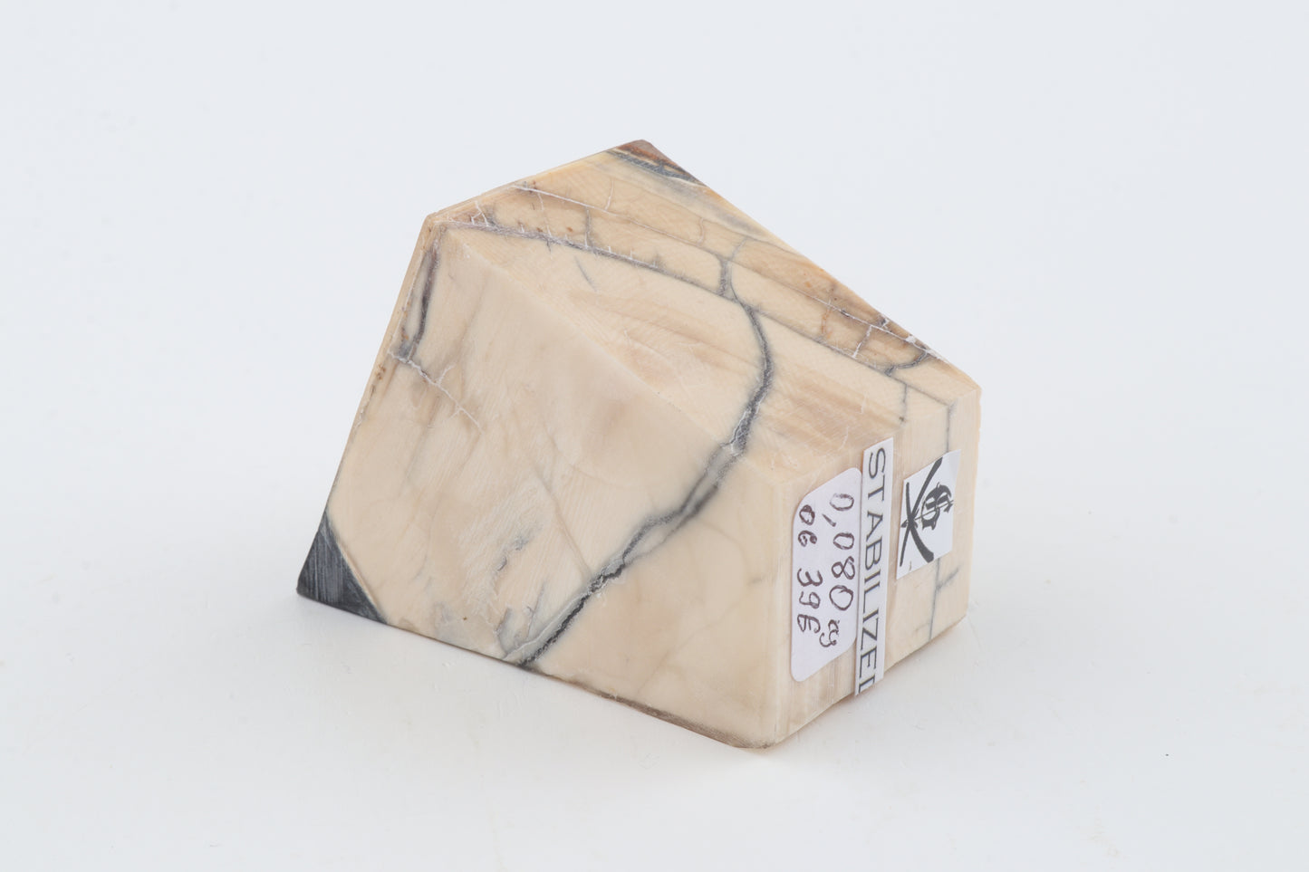 Stabilized mammoth ivory piece