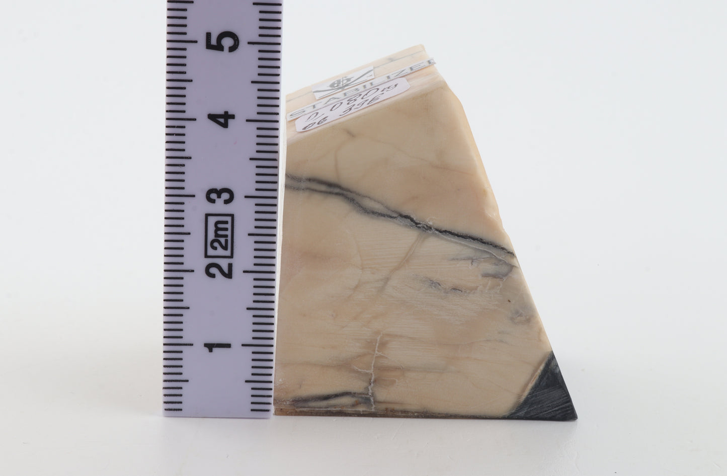 Stabilized mammoth ivory piece