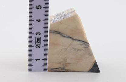 Stabilized mammoth ivory piece