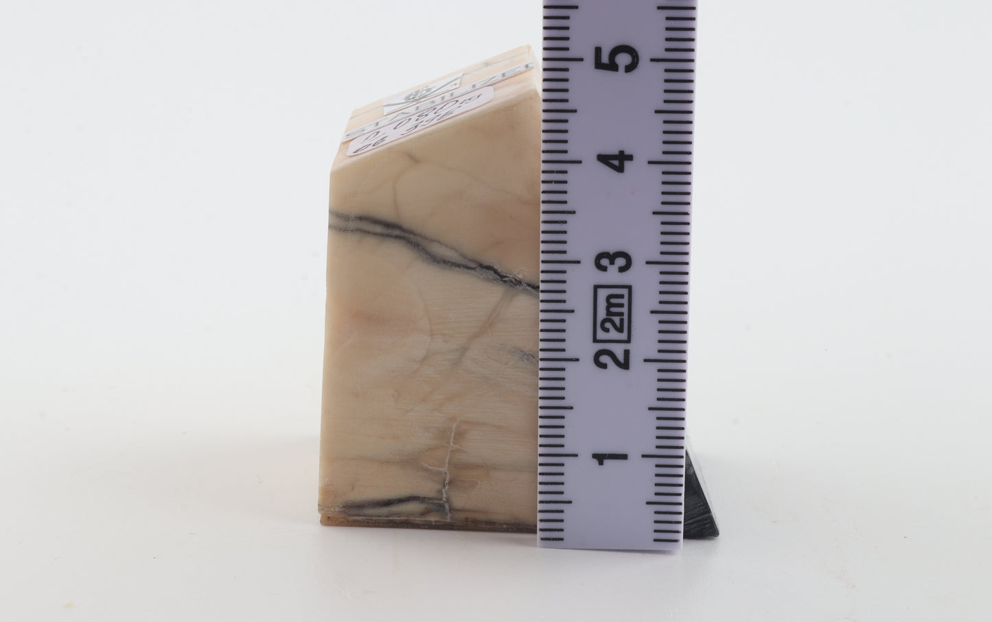 Stabilized mammoth ivory piece