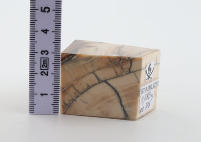 Stabilized mammoth ivory piece