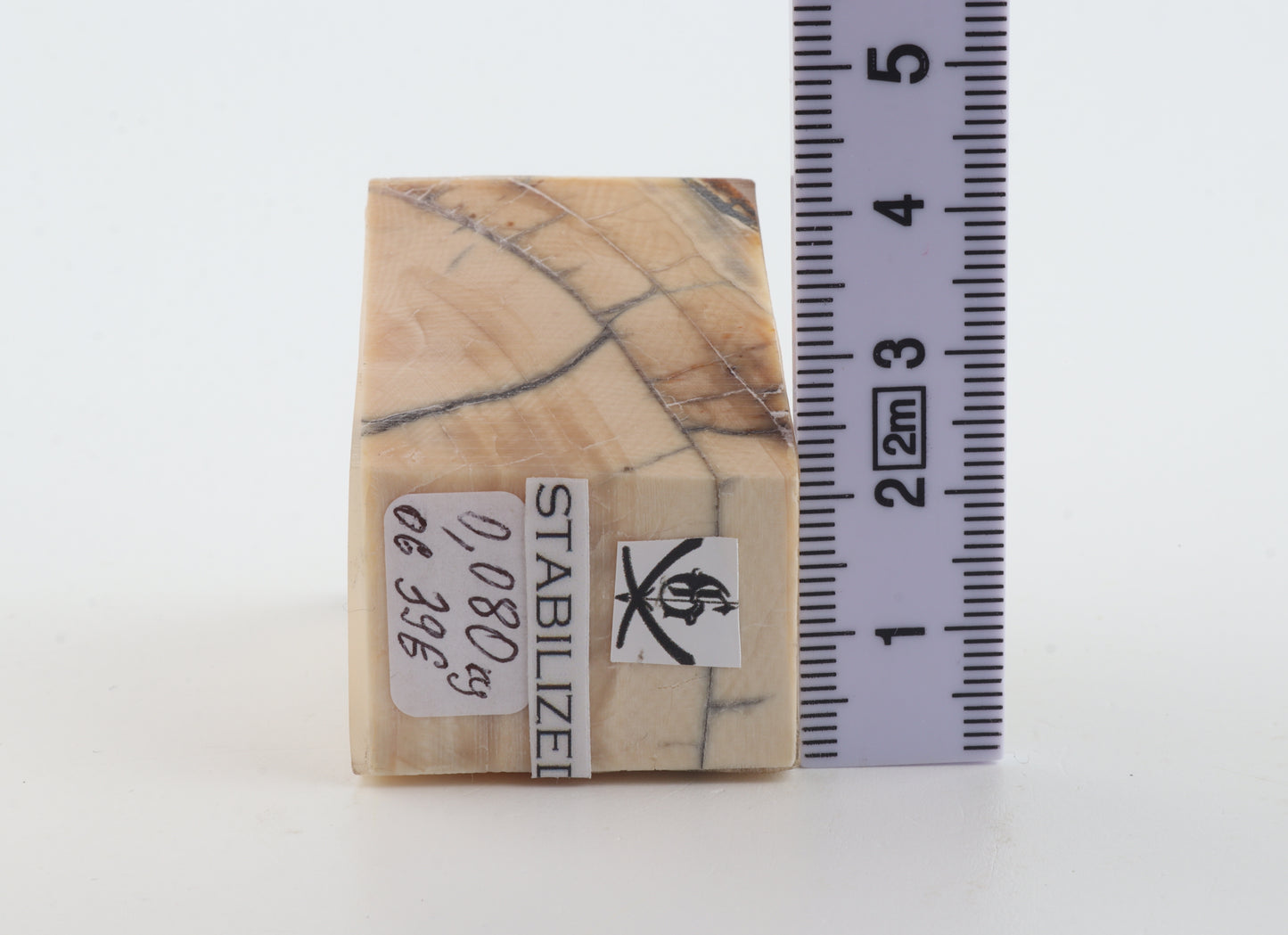 Stabilized mammoth ivory piece