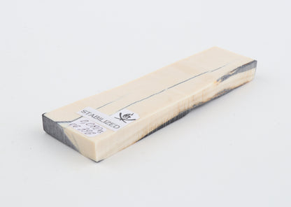 Stabilised mammoth ivory piece