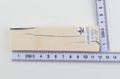 Stabilised mammoth ivory piece