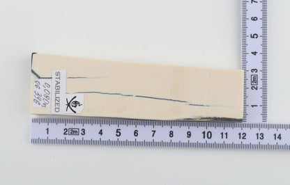 Stabilised mammoth ivory piece