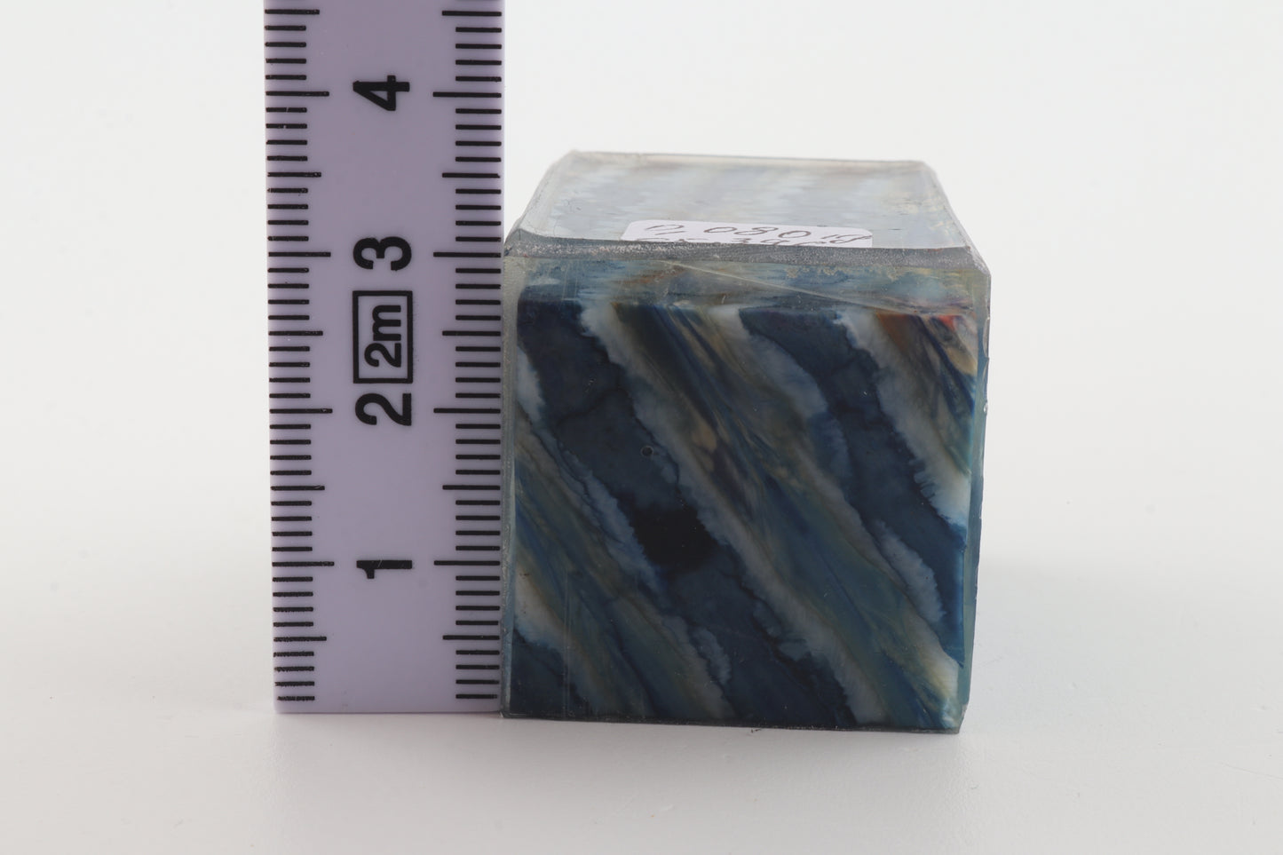 Stabilized mammoth molar piece