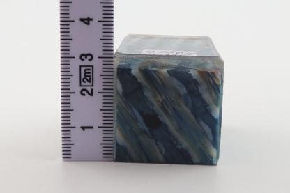 Stabilized mammoth molar piece