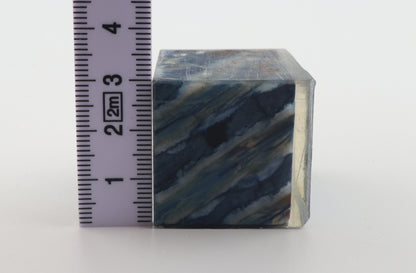 Stabilized mammoth molar piece