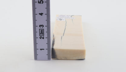 Stabilised mammoth ivory piece