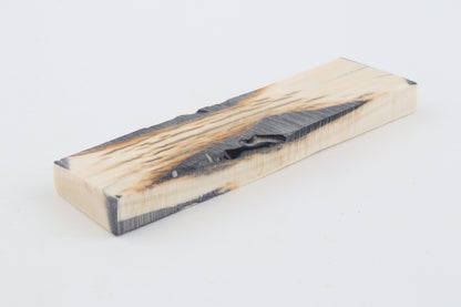 Stabilised mammoth ivory piece