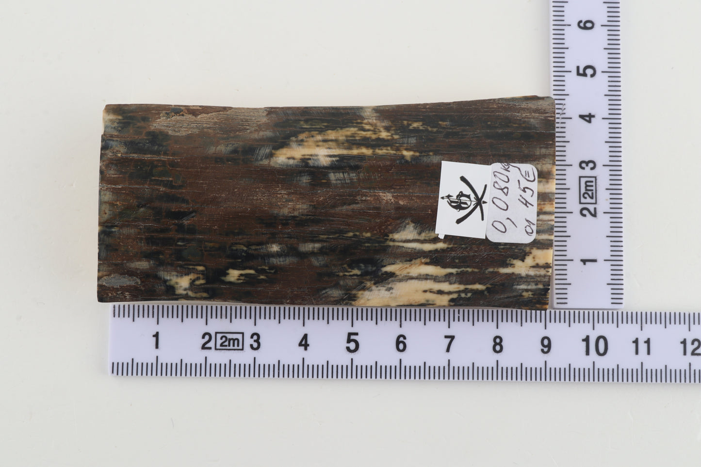 Brown-bluemammoth bark