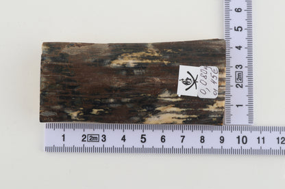 Brown-bluemammoth bark