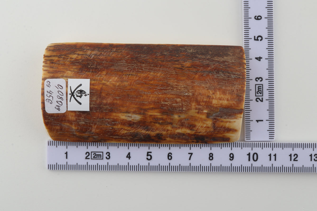 Caramel-brown mammoth bark