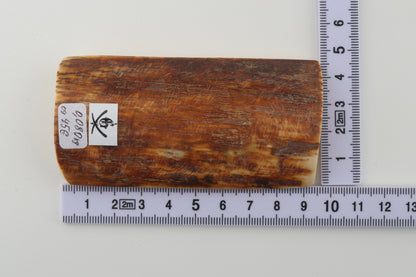 Caramel-brown mammoth bark