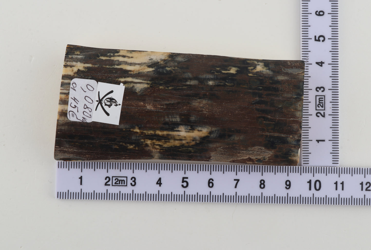 Brown-bluemammoth bark