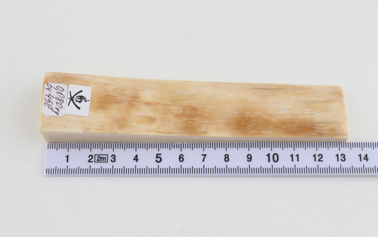 Natural mammoth ivory piece