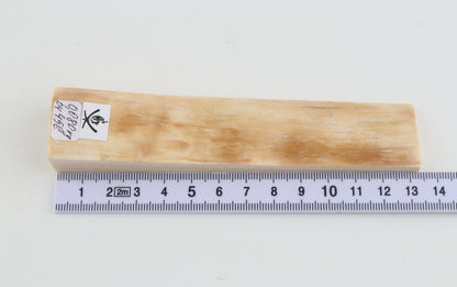 Natural mammoth ivory piece