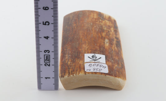 Caramel-brown mammoth bark
