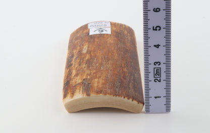 Caramel-brown mammoth bark