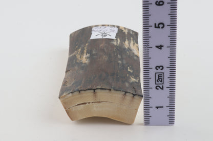 Brown-bluemammoth bark