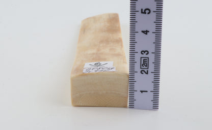 Natural mammoth ivory piece