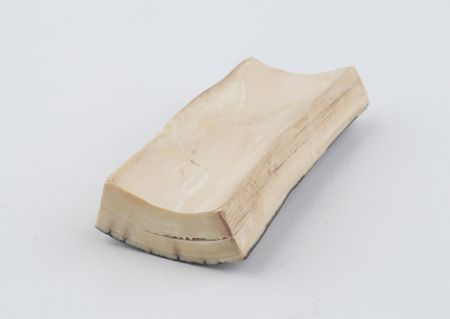 Brown-bluemammoth bark
