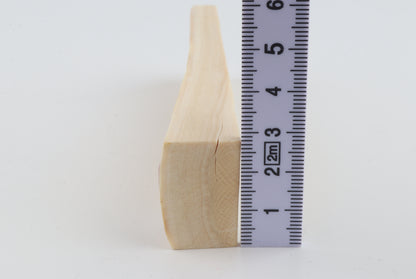 Natural mammoth ivory piece