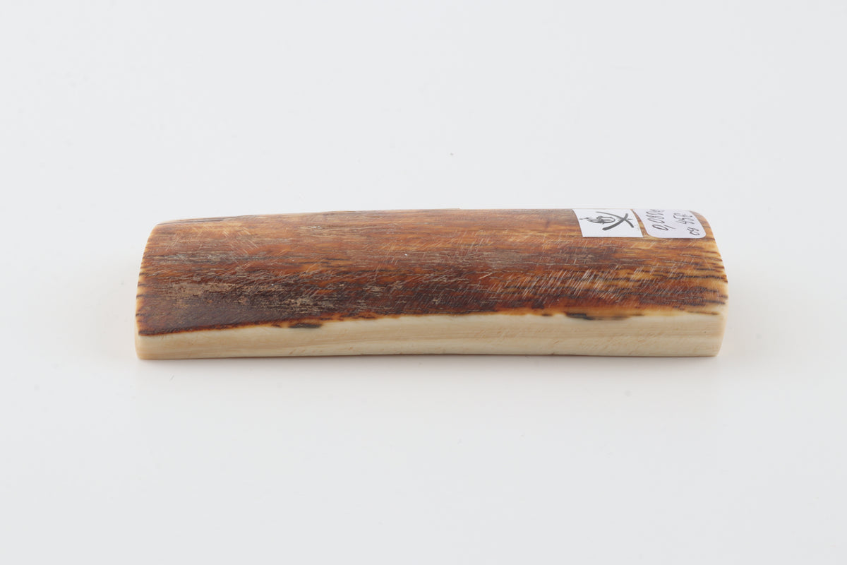 Caramel-brown mammoth bark
