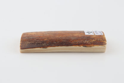 Caramel-brown mammoth bark
