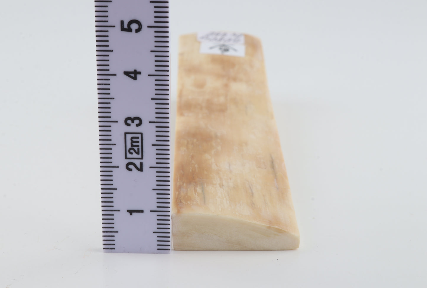 Natural mammoth ivory piece