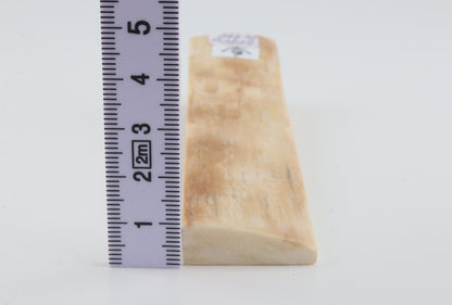 Natural mammoth ivory piece