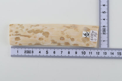 Beige-white mammoth bark