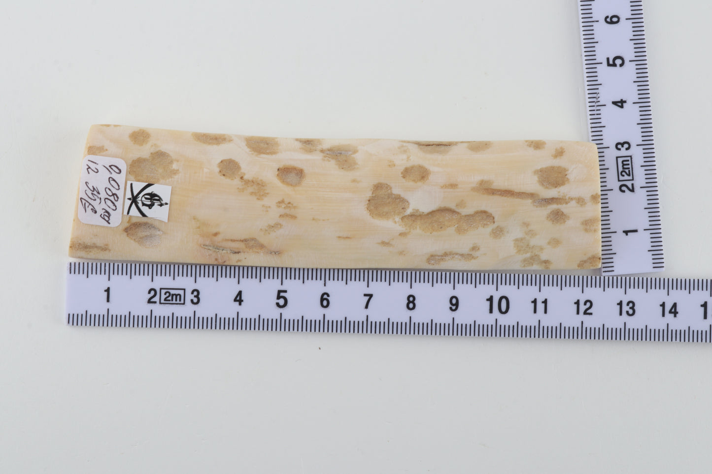 Beige-white mammoth bark