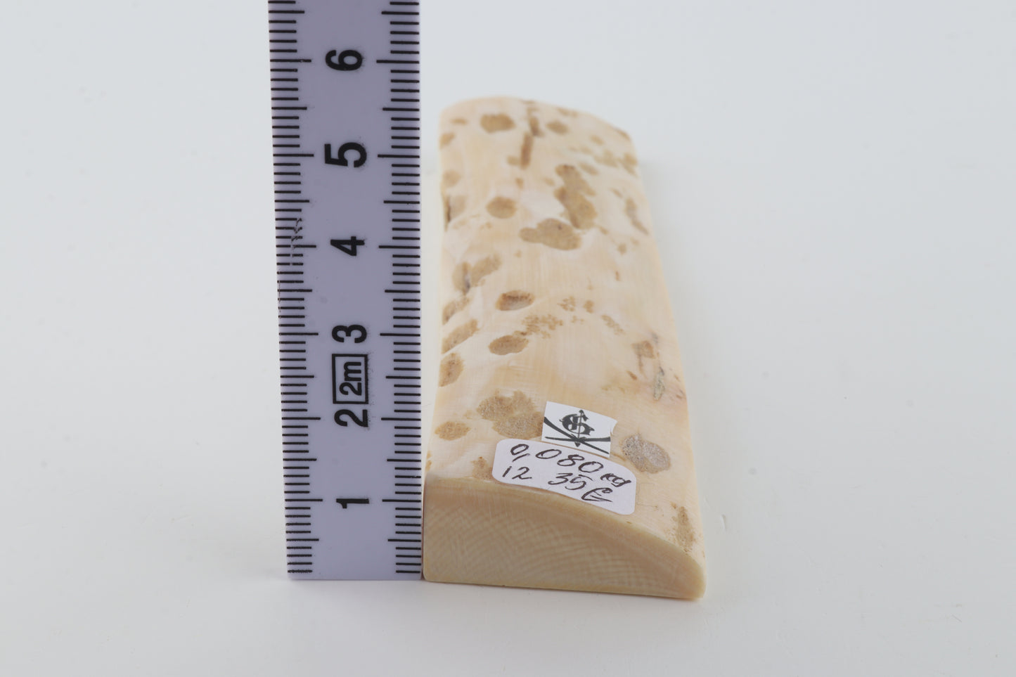 Beige-white mammoth bark