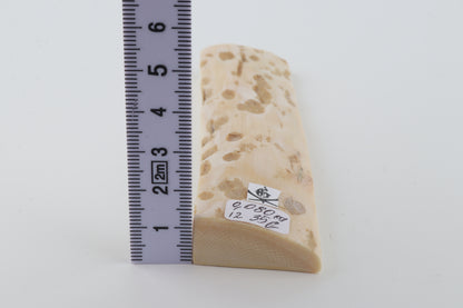 Beige-white mammoth bark