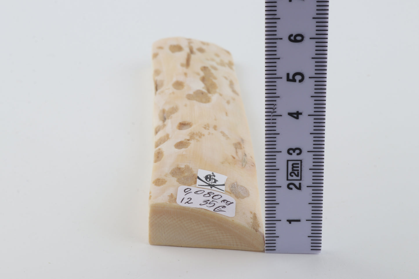 Beige-white mammoth bark