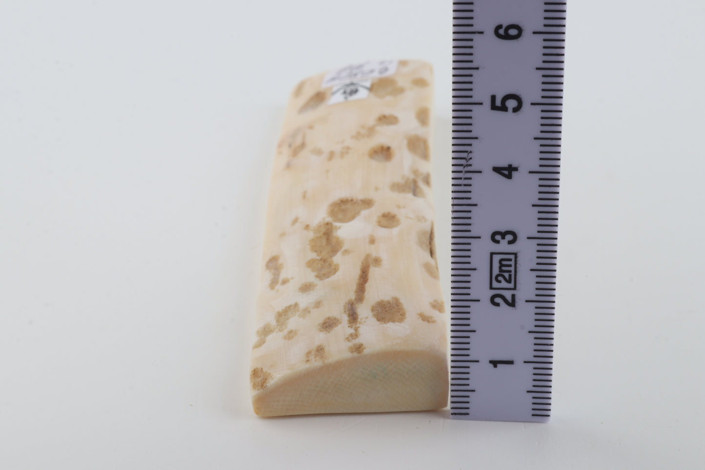 Beige-white mammoth bark