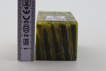 Stabilized mammoth molar piece