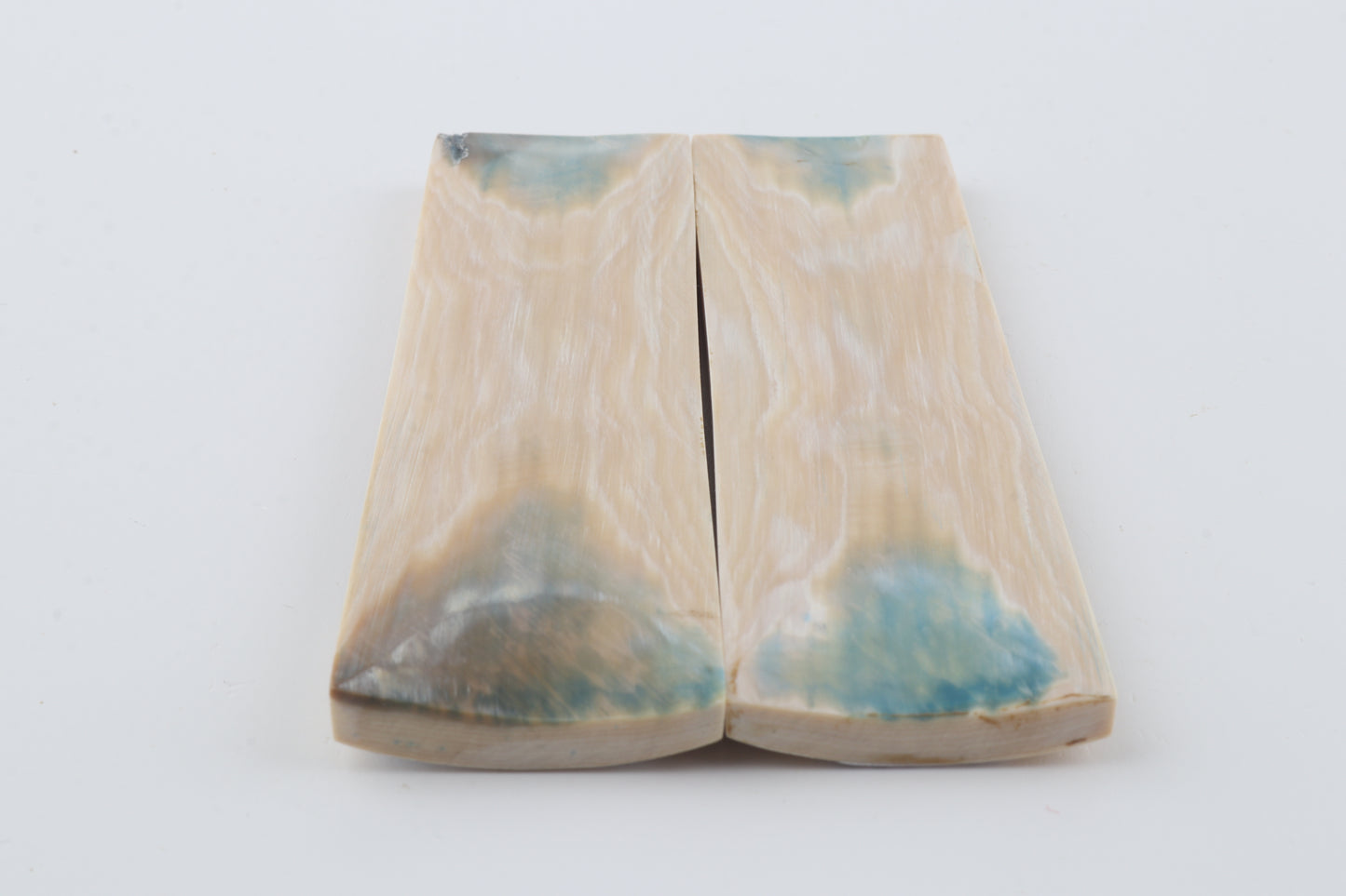 Stabilized mammoth bark scales