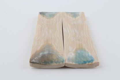 Stabilized mammoth bark scales