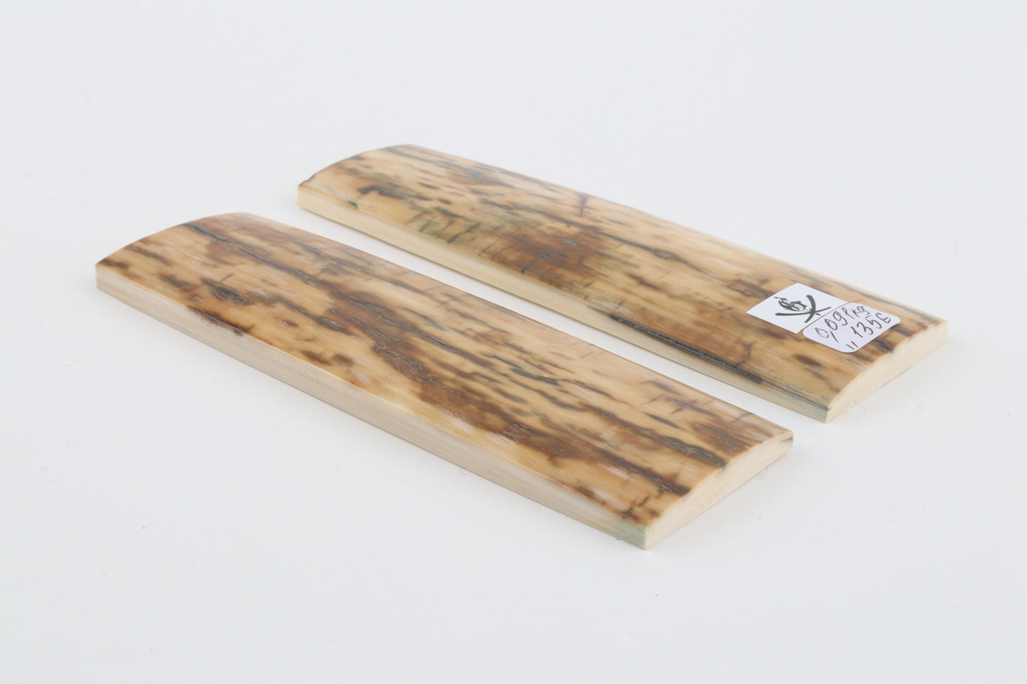 Natural woolly mammoth bark scales