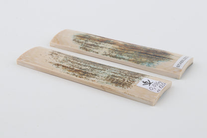 Stabilized mammoth bark scales