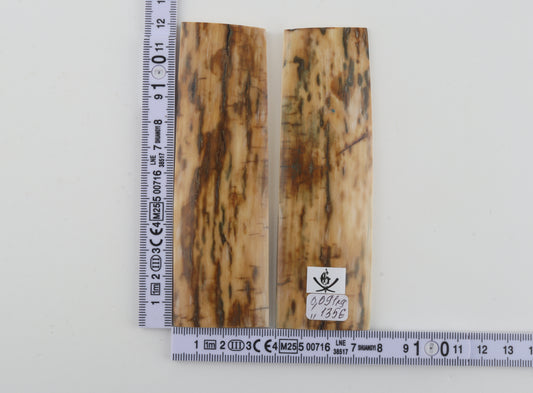 Natural woolly mammoth bark scales