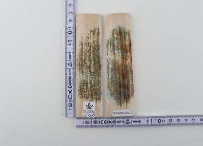 Stabilized mammoth bark scales