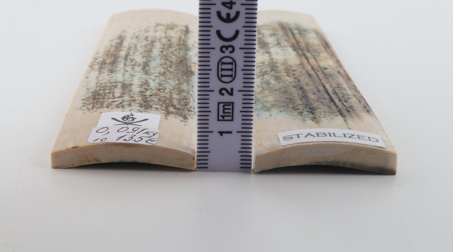 Stabilized mammoth bark scales