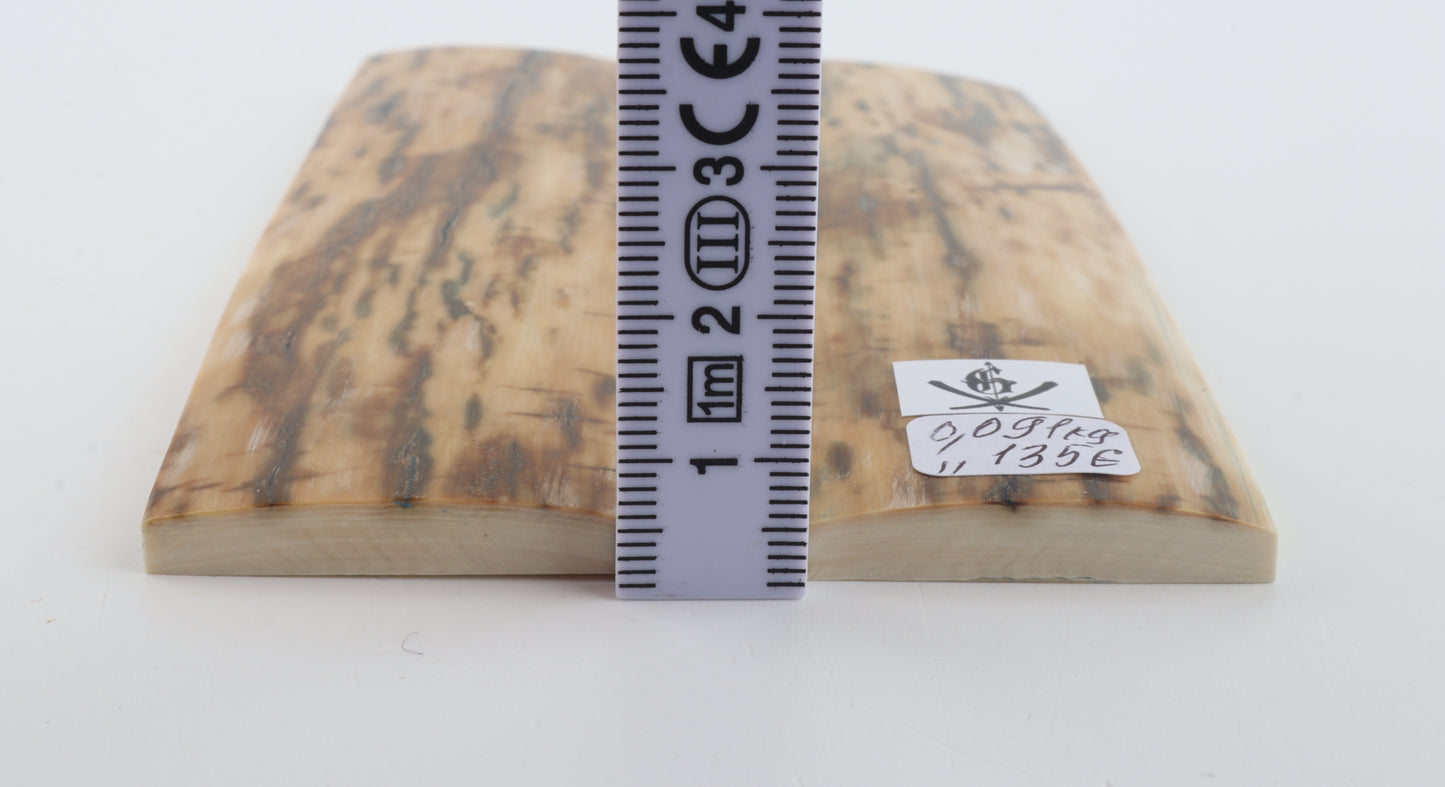 Natural woolly mammoth bark scales